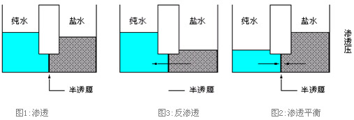 RO反滲透膜的工作原理 RO反滲透膜的工作原理